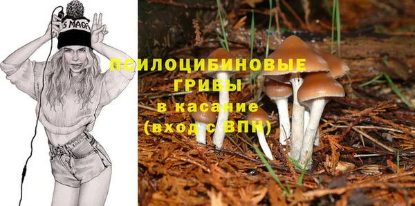 прущие грибы Пестово