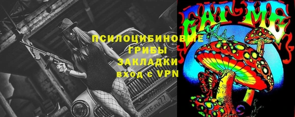 Альфа ПВП Алзамай