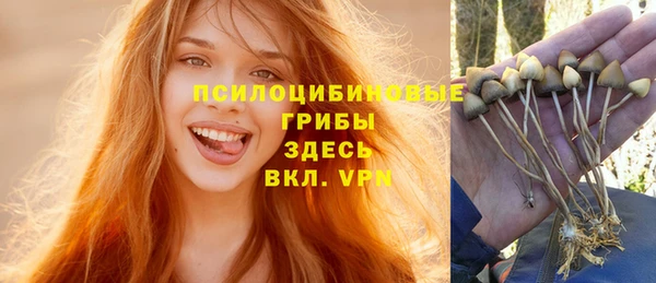ALPHA-PVP Алексин