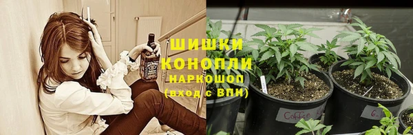 бошки Алексеевка