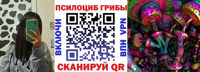 mega как войти  Бахчисарай  Псилоцибиновые грибы мицелий  наркота 